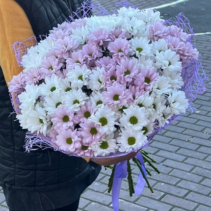 букет из розовой кустовой хризантемы - купить с доставкой в Ростове-на-Дону