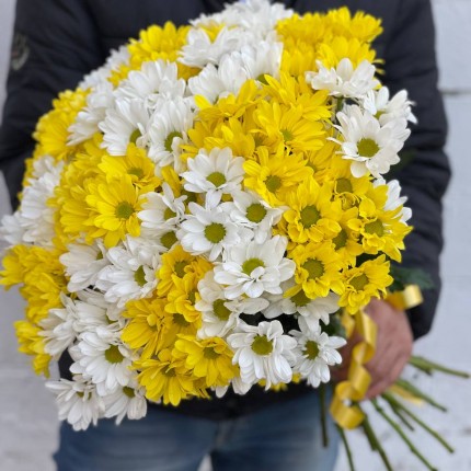 Букет из разноцветных хризантем - купить с доставкой в Ростове-на-Дону